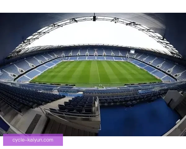 五大联赛主场球场规模与使用现状分析